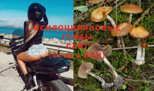 соль ск Касимов