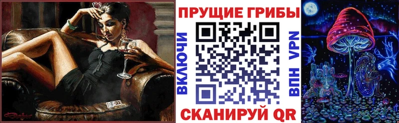 Галлюциногенные грибы GOLDEN TEACHER Купить Грайворон