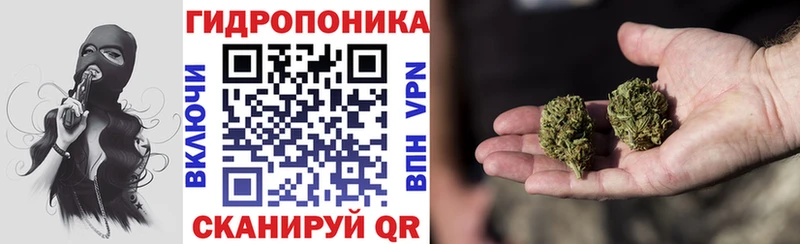 Канабис планчик  Купить  Грайворон 